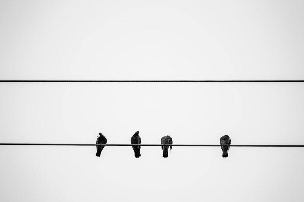 جمع‌بندی